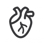 Kardiovaskuläres System